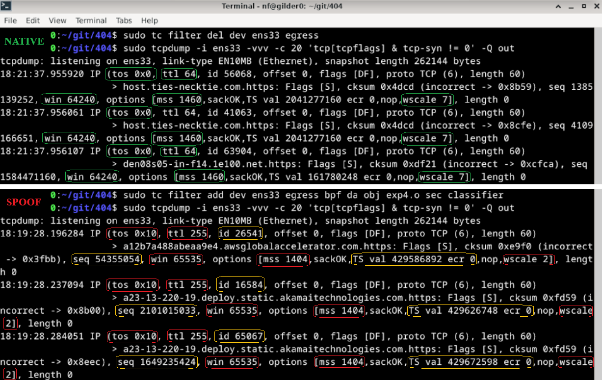 tcpdump output